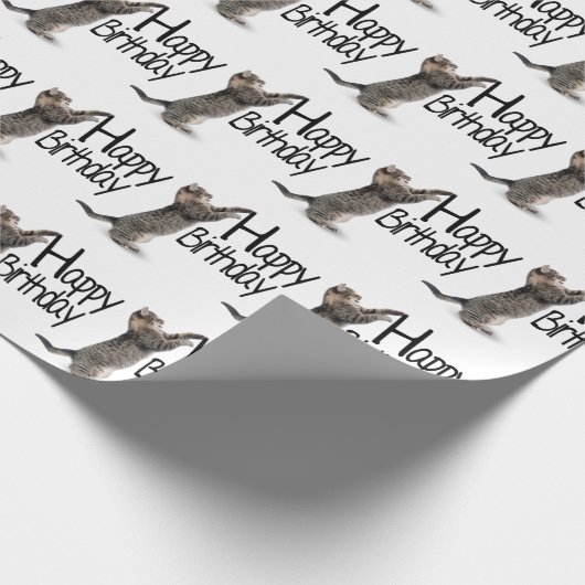 Papier Cadeau Tabby Chat avec texte d'anniversaire (Coin)