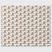 Papier Cadeau tabby chat souriant sur blanc (Plat)