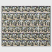 Papier Cadeau Tabby Chat Sur Ancien Banc (Plat)