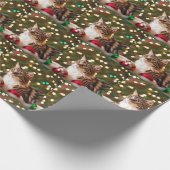 Papier Cadeau Tabby de Noël (Coin)