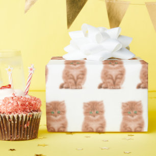 Papier Cadeau Tabby Kitten En Blanc