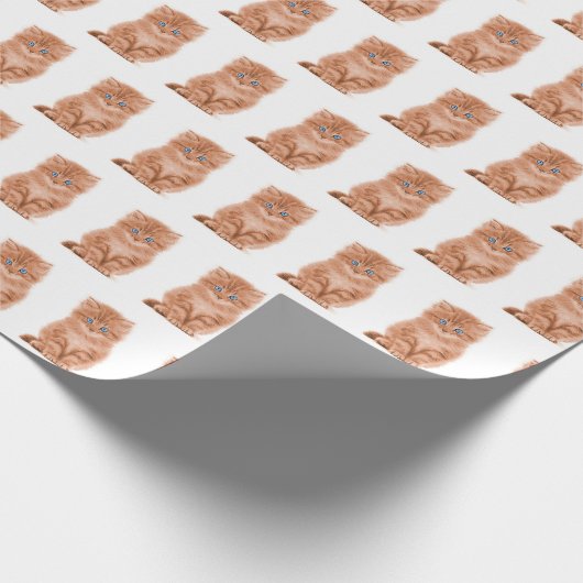 Papier Cadeau Tabby Kitten En Blanc (Coin)