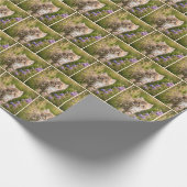 Papier Cadeau Tabby Kitten En Fleur sauvage (Coin)