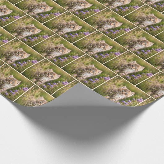 Papier Cadeau Tabby Kitten En Fleur sauvage (Coin)