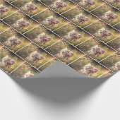 Papier Cadeau Tabby Kitten En Fleur sauvage (Coin)