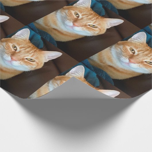 Papier Cadeau Taboureuse d'Orange (Coin)