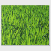 Papier Cadeau Tall Blades of Grass (Plat)