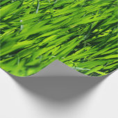 Papier Cadeau Tall Blades of Grass (Coin)