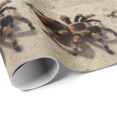 Papier Cadeau Tarantula brachypelma rouge genou toxique (Coin rond)