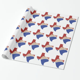Papier Cadeau Tatou du Texas - conception d'état de TX