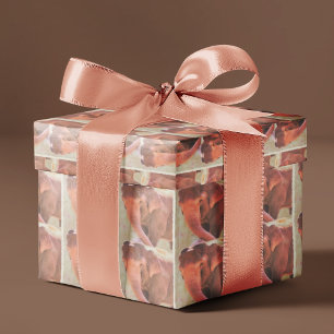 Papier Cadeau Temps De Jeu Pour Papier À Emballage D'Éléphant