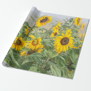 Papier Cadeau Terrain de tournesol Vert Jaune Belle Découpage