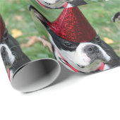 Papier Cadeau Terrier de Boston (Coin rond)