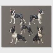 Papier Cadeau Terriers de Boston (Plat)