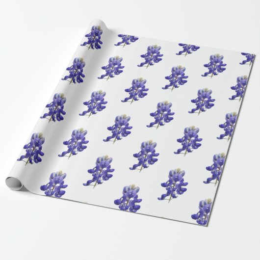 Papier Cadeau Texas Bluebonnet (Déroulé)
