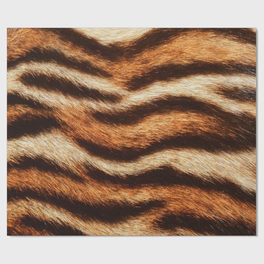 Papier Cadeau texture de fourrure de tigre (Plat)