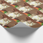 Papier Cadeau Texture légère de calicot (Coin)