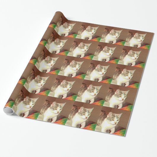 Papier Cadeau Texture légère de calicot (Déroulé)
