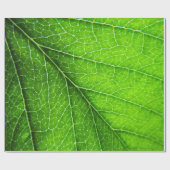 Papier Cadeau Texture verte de feuille (Plat)