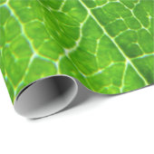 Papier Cadeau Texture verte de feuille (Coin rond)