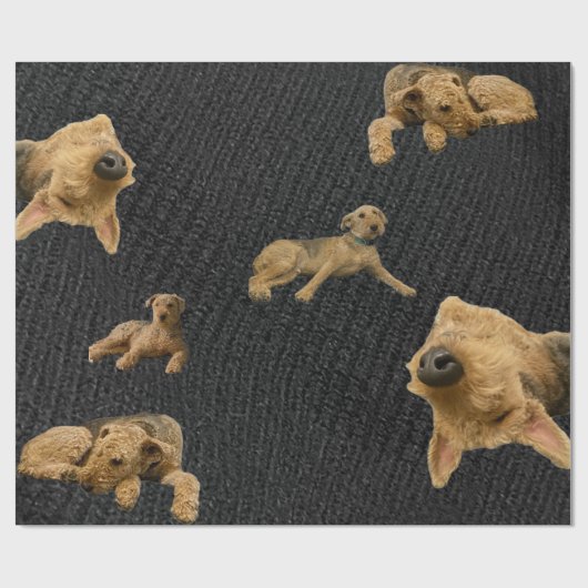 Papier Cadeau The Obstinate Airedale Wrapping Paper (Plat)
