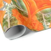 Papier Cadeau The Orange Garden..... (Coin rond)