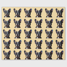 Théorie des couleurs Frenchie