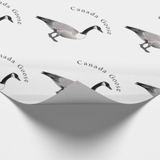 Papier Cadeau Thunder_Cove de Goose Gander (Coin)