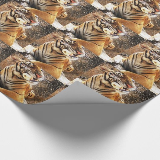 Papier Cadeau tigre (Coin)