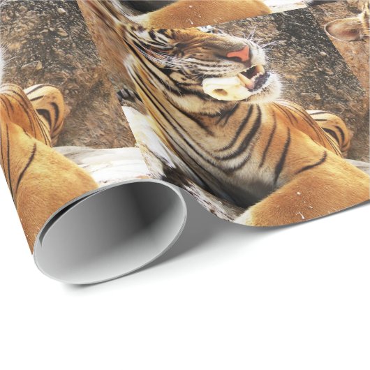 Papier Cadeau tigre (Coin rond)