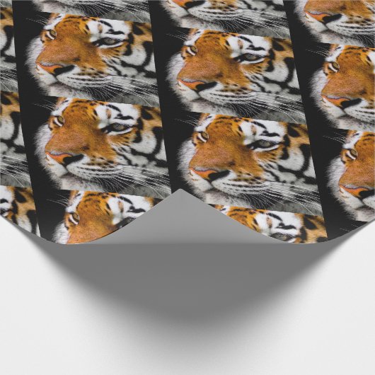 Papier Cadeau Tigre (Coin)