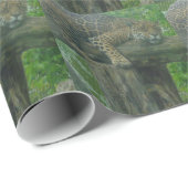 Papier Cadeau Tigre dormant dans l'arbre, la forêt, la nature, l (Coin rond)