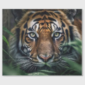 Papier Cadeau Tigre du Bengale (Plat)