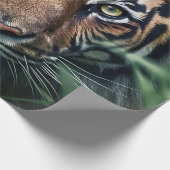 Papier Cadeau Tigre du Bengale (Coin)
