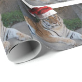 Papier Cadeau Tigre du Bengale de Noël (Coin rond)