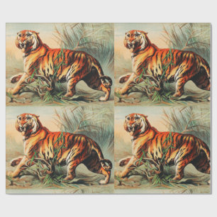 Papier Cadeau Tigre royal du Bengale