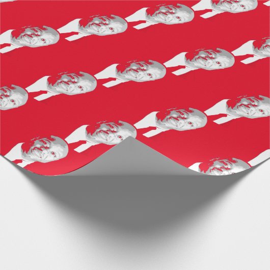 PAPIER CADEAU TIM SCOTT (Coin)