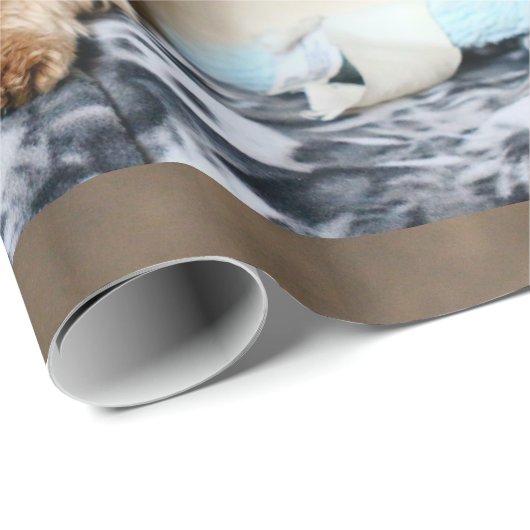 Papier Cadeau Tiny Dynamo (Coin rond)