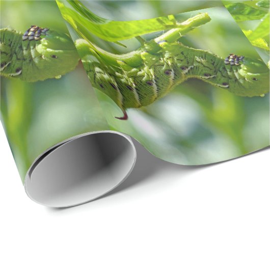 Papier Cadeau Tomato (Coin rond)