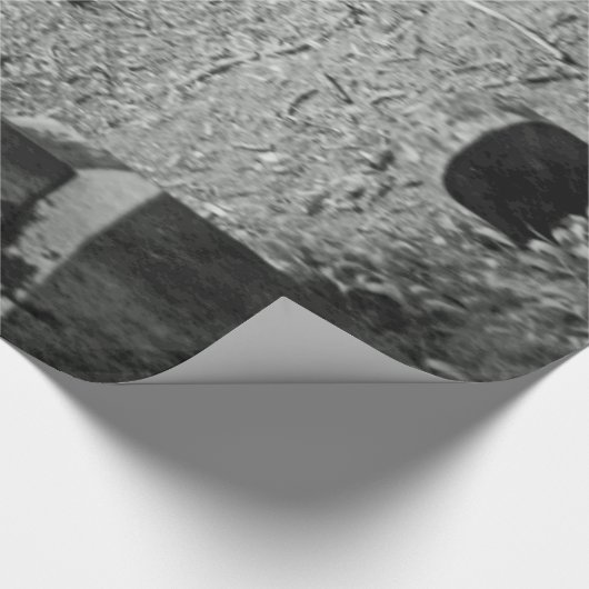 Papier Cadeau Tombe oubliée (Coin)