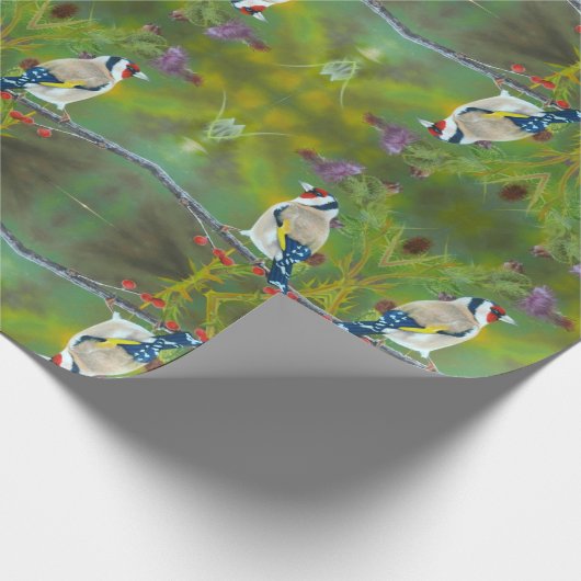 Papier Cadeau Tonkinson Birds - Envelopper cadeau Finch & Thistl (Coin)