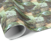 Papier Cadeau Tortue (Coin rond)