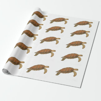 Papier Cadeau Tortue de mer verte