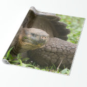 Papier Cadeau Tortue géante (Déroulé)