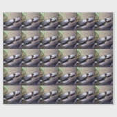 Papier Cadeau Tortues (Plat)
