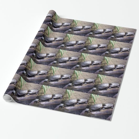 Papier Cadeau Tortues (Déroulé)