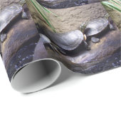 Papier Cadeau Tortues (Coin rond)