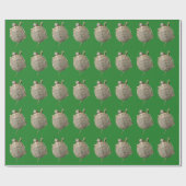 Papier Cadeau Tortues minces Tortues Motif de photographie anima (Plat)