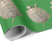 Papier Cadeau Tortues minces Tortues Motif de photographie anima (Coin rond)