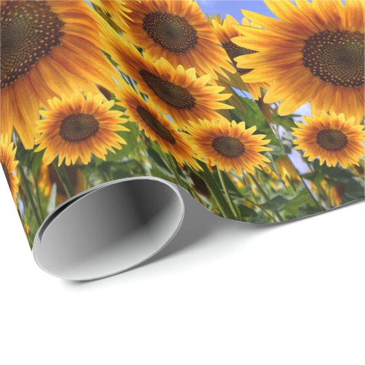 Papier cadeau Tournesol (Coin rond)